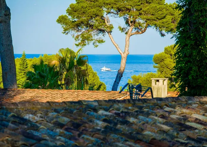 Provenzale Clos De Minerve * Juan-les-Pins